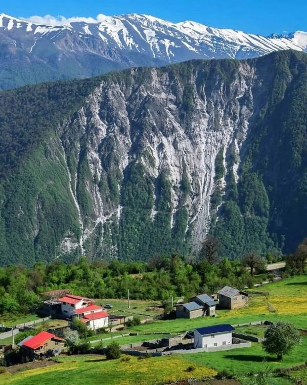بهار و زمستان در یک قاب