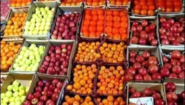 آغاز عرضه میوه طرح تنظیم بازاری در تهران+قیمت