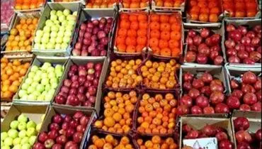 آغاز عرضه میوه طرح تنظیم بازاری در تهران+قیمت