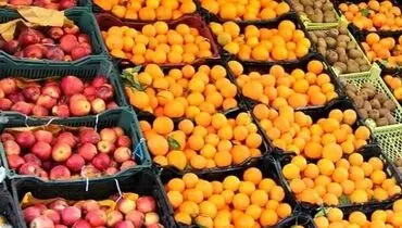آغازعرضه مستقیم میوه با نرخ مصوب