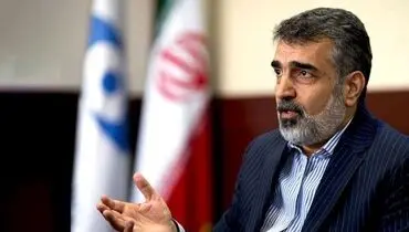 کمالوندی: صادر کننده رادیودارو هستیم/ روند همکاری آژانس با ایران رضایت بخش نیست