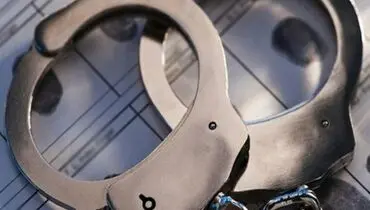 نخستین سارق سال ۱۴۰۰ توسط پلیس پیشگیری تهران بزرگ دستگیر شد