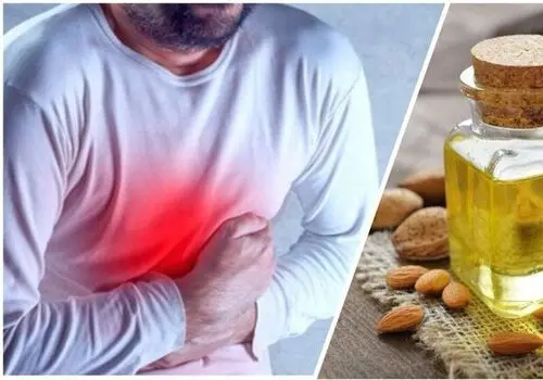ترخون: گیاهی با خواص شگفت‌انگیز برای سلامتی، پوست و مو
