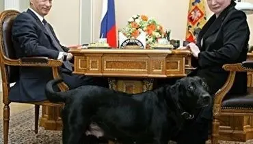 سگ استثنایی و بهترین بادیگارد رئیس جمهور روسیه+ فیلم