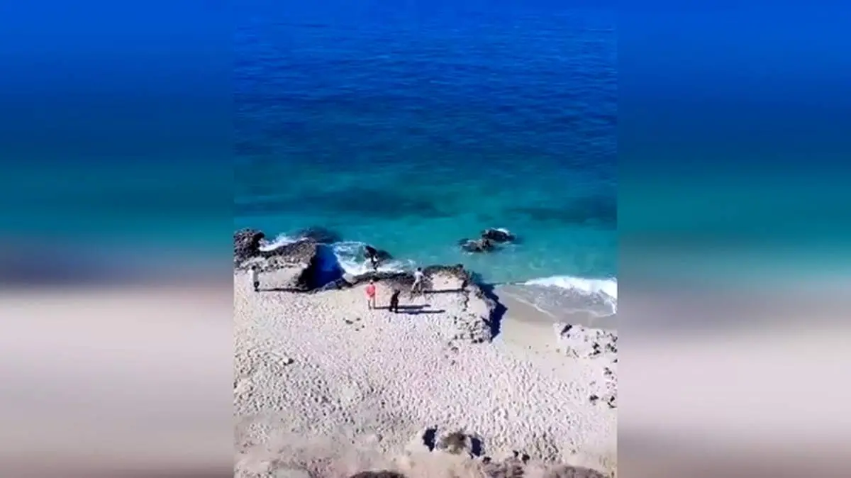 جزیره‌ای با مار‌های سمی سیاه رنگ در ایران + فیلم