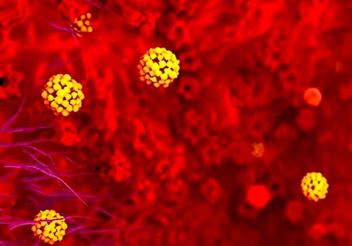 کشف روشی جدید برای مقابله با سرطان