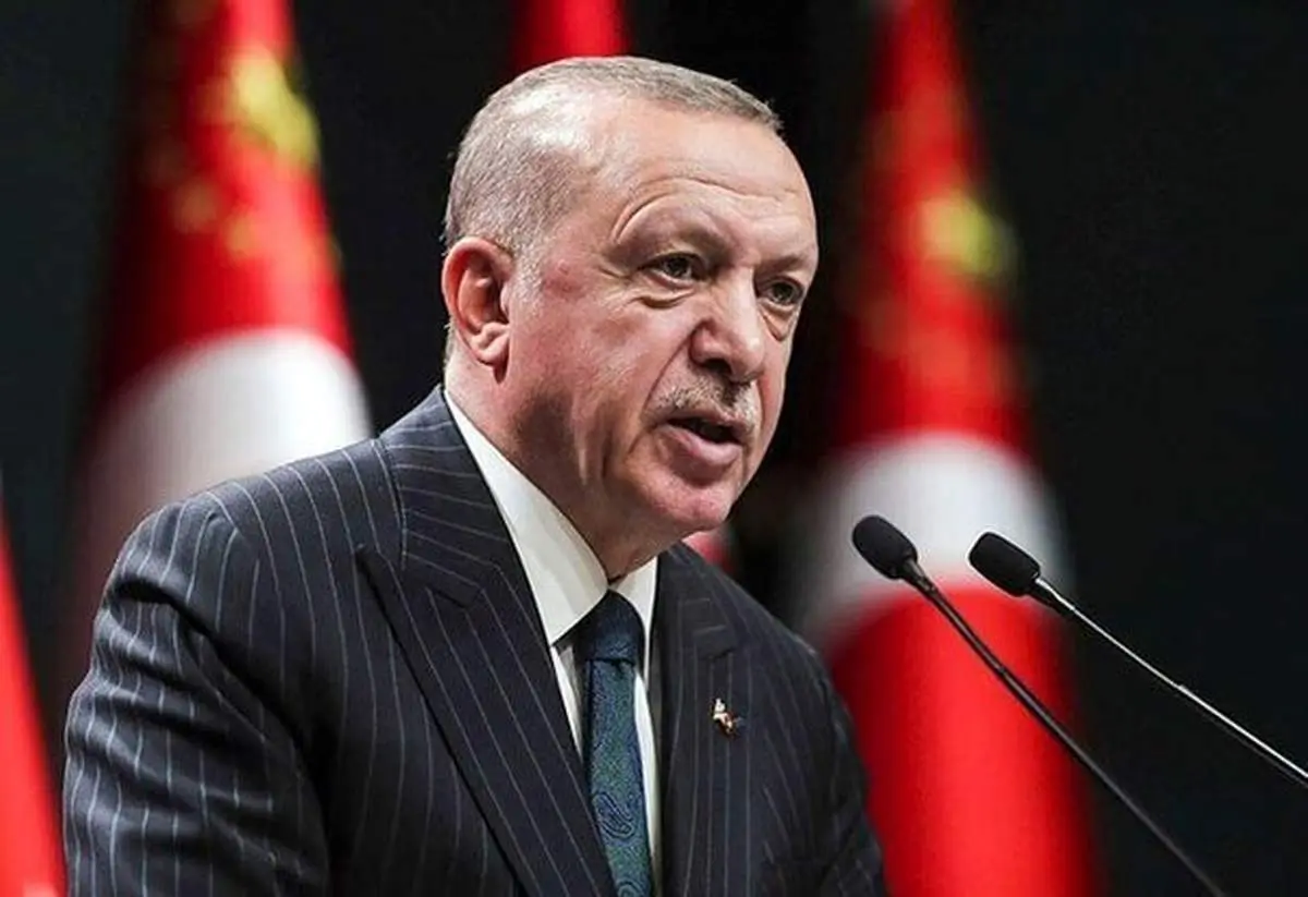 واکنش اردوغان به ریزش لیر