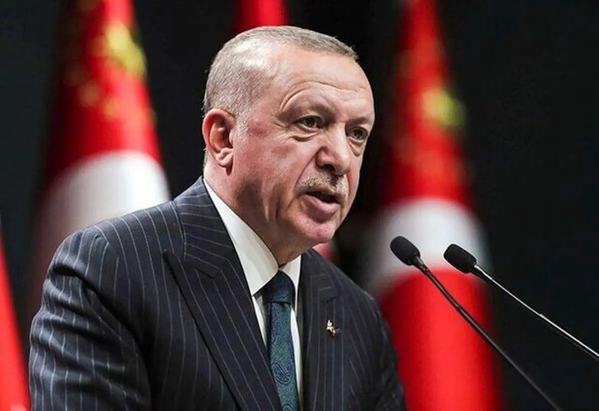 واکنش اردوغان به ریزش لیر