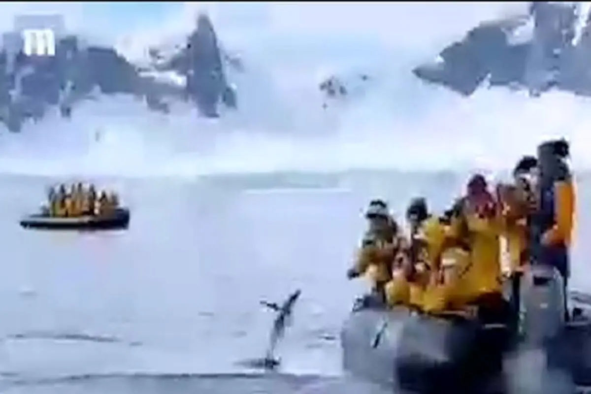 پنگوئن باهوشی که از ترس نهنگ قاتل به یک قایق پناه برد! + فیلم