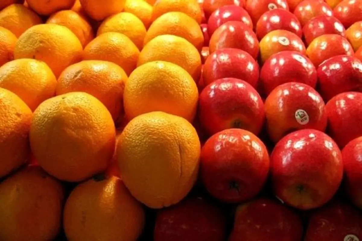 صادرات سیب و پرتقال ممنوع!