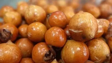 طرز تهیه ترشی ازگیل خوشمزه