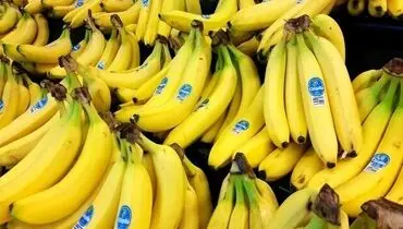قیمت موز کاهش یافت+جزئیات