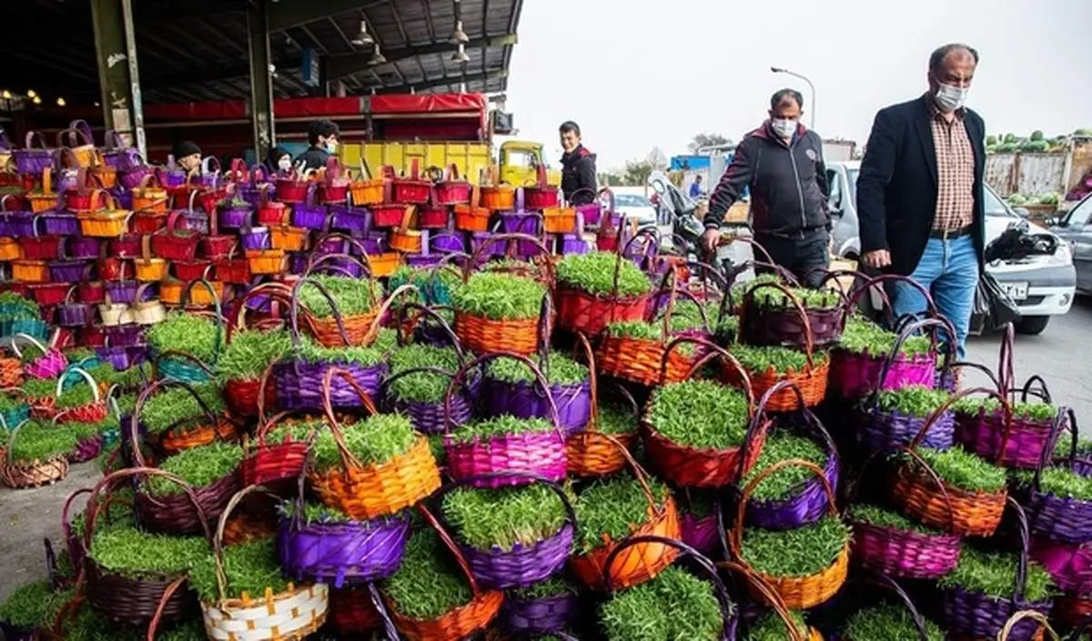 خرید سبزه و ماهی قرمز عید
