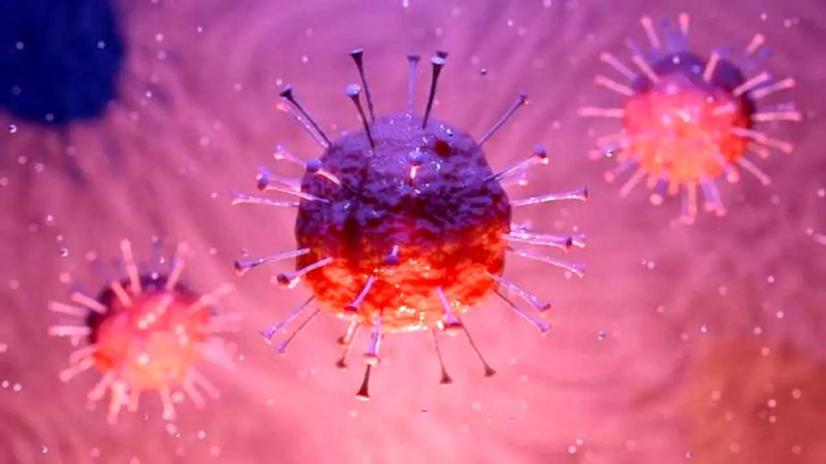 کاهش اثر مخرب کرونا در بدن با شناسایی سمی‌ترین پروتئین آن