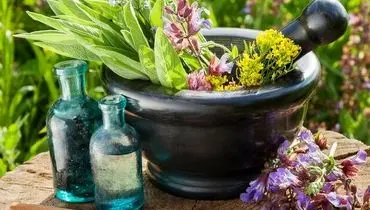 ۱۷ توصیه طب ایرانی برای فصل بهار/ مزاج فصل را بهتر بشناسید