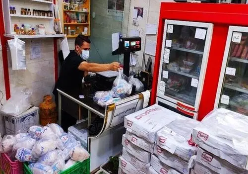 قیمت مصوب مرغ امروز ۱۷ دی ۱۴۰۴ اعلام شد + جزئیات
