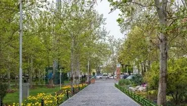 جریمه ۵۰۰ هزارتومانی پارک خودرو در مقابل پارک‌ها