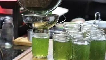 طرز تهیه ژله ریحون متفاوت