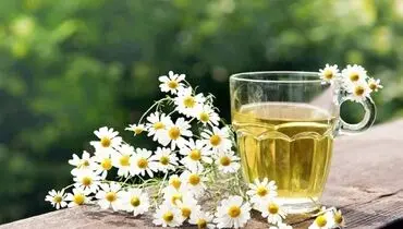 با مصرف این داروی گیاهی به جنگ سرطان بروید