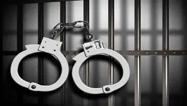 دستگیری ۲۰ دلال بازار مرغ/ بیش از ۵۳ تن مرغ کشف شد
