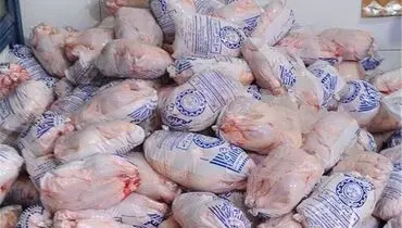 هشدار درباره فعالیت های زیرزمینی مرغی!