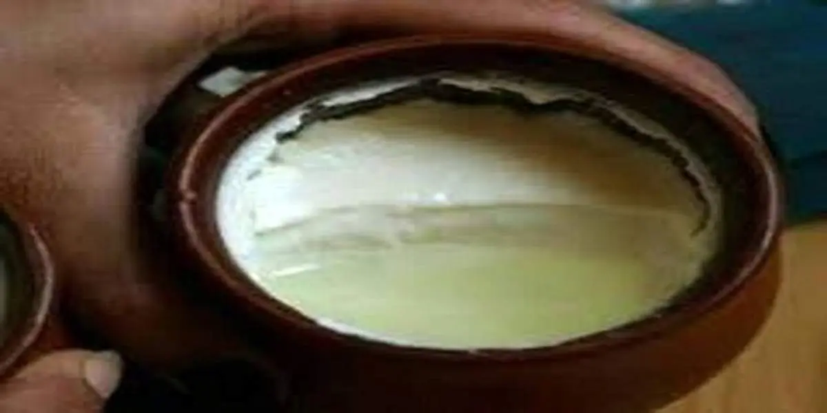 اشتباهی که در خوردن ماست نباید مرتکب شوید