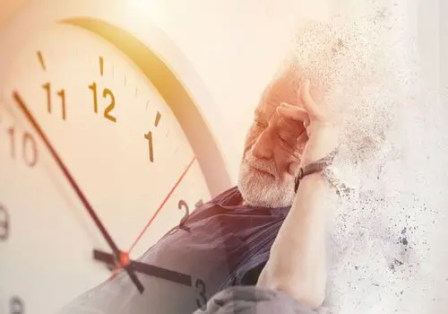 تقویت حافظه با یک گیاه معجزه‌گر