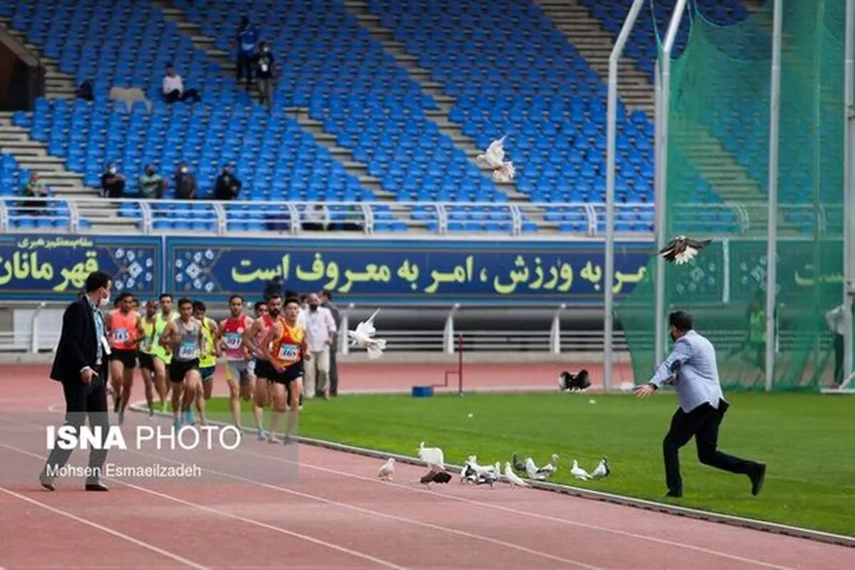 کبوتر‌های دردسرساز در مسابقات دوومیدانی مشهد + عکس