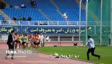 کبوتر‌های دردسرساز در مسابقات دوومیدانی مشهد + عکس