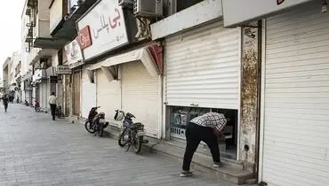 یک بوم و دو هوای تعطیلی