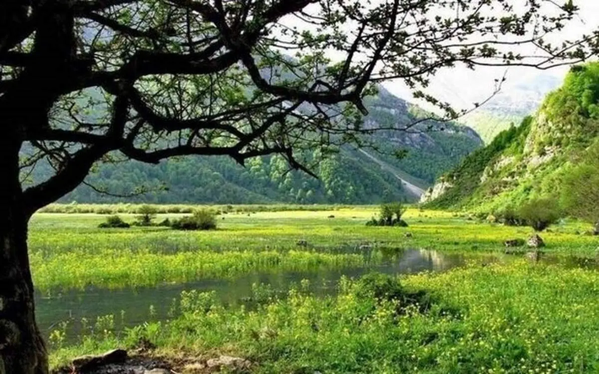 زیبایی شگفت انگیز دشت دریاسر
