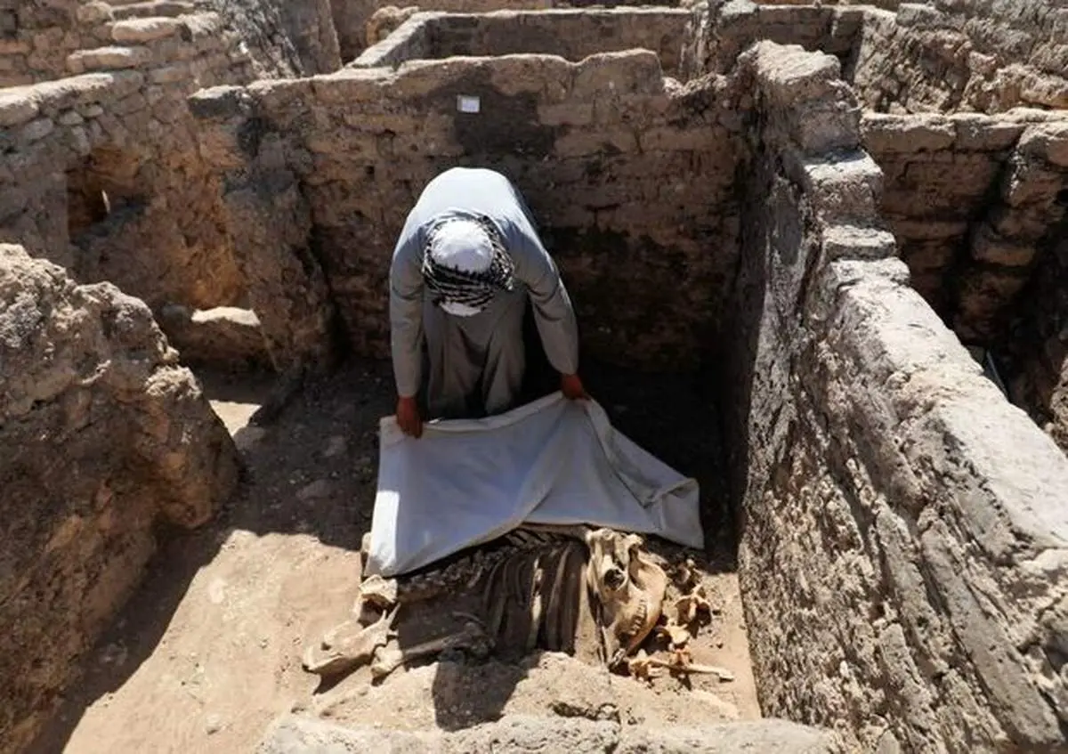 حفاری شهر طلایی در مصر
