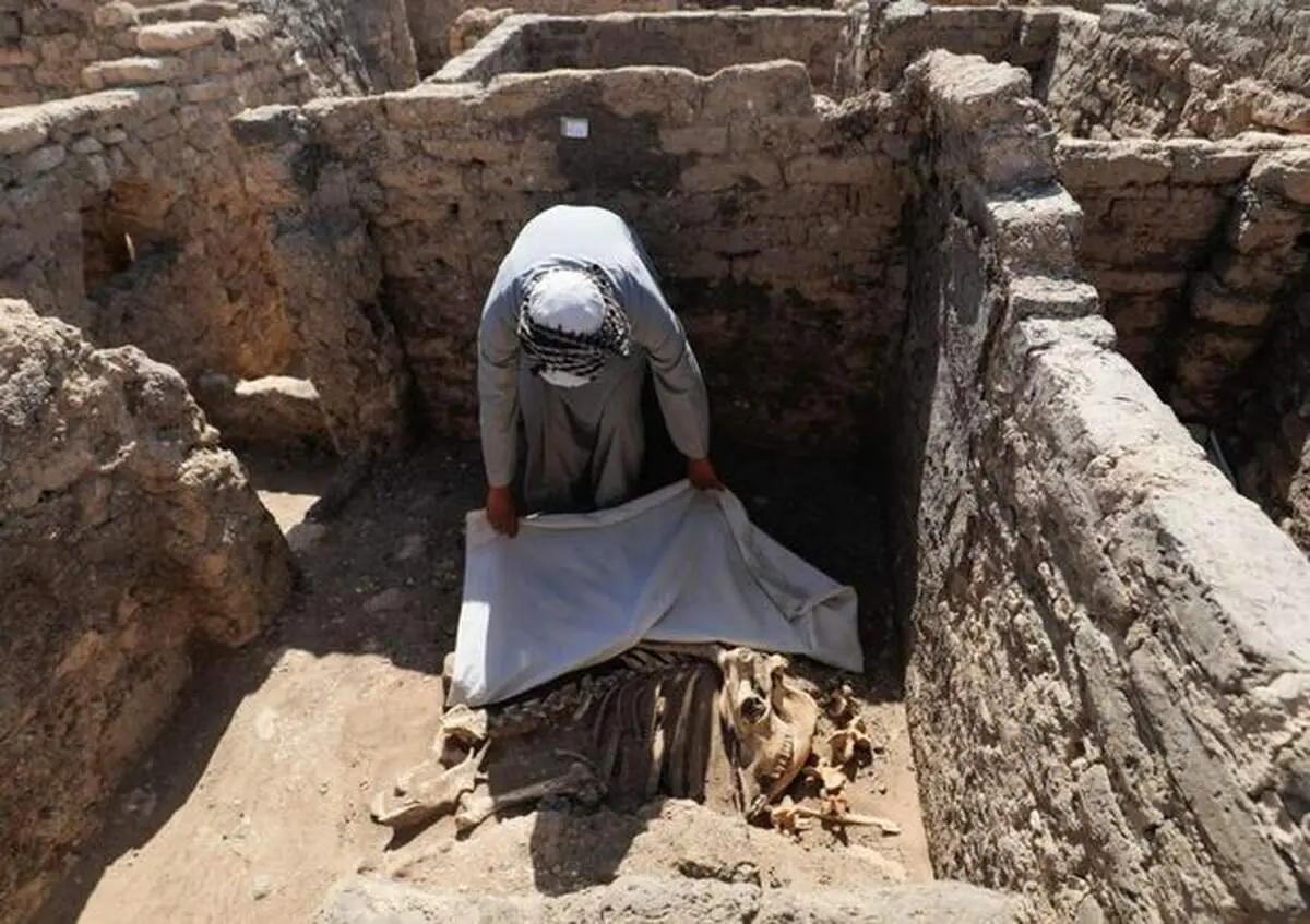 حفاری شهر طلایی در مصر