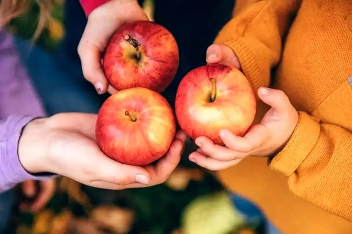 برای رفع تشنگی و عطش این میوه را مصرف کنید