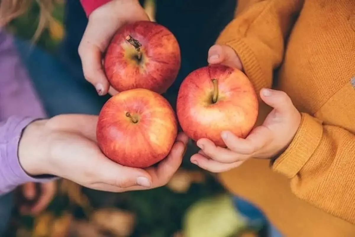 برای رفع تشنگی و عطش این میوه را مصرف کنید