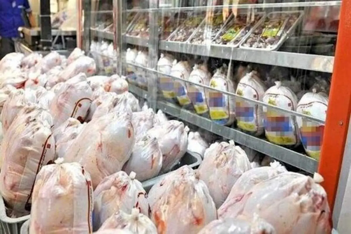 فروش مجدد مرغ قطعه بندی از امروز / توزیع گسترده مرغ با نرخ مصوب