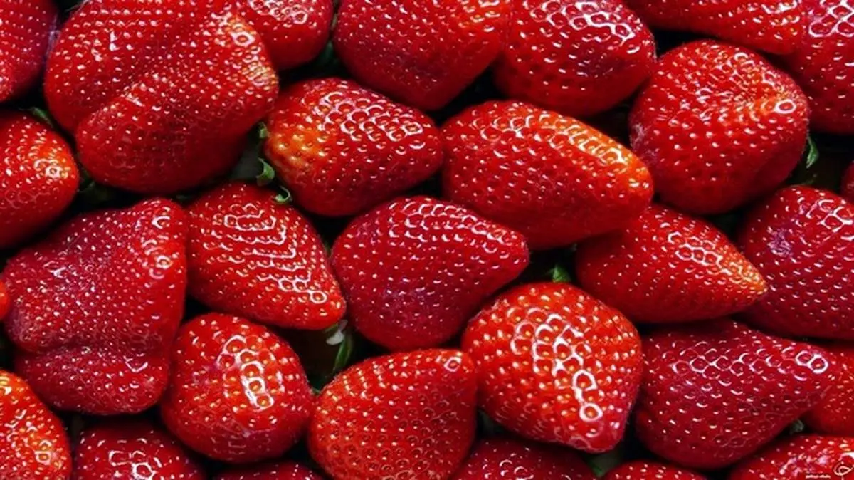 میوه‌ای که با خوردن آن سلامتی خود را تضمین می‌کنید