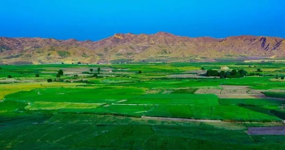 تصاویری دیدنی از باغ بلقیس