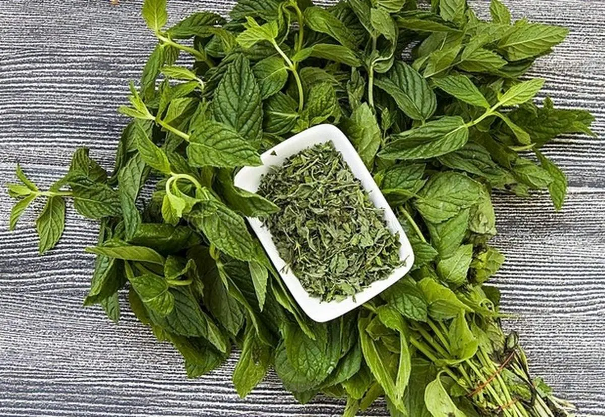 طرز تهیه و فوت و فن پخت نعنا داغ مجلسی