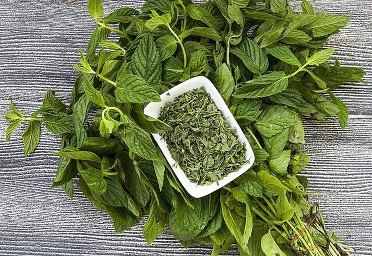 طرز تهیه و فوت و فن پخت نعنا داغ مجلسی