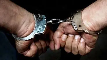 دستگیری عامل انتشار کلیپ جعلی مبنی بر هجوم مردم به یک مرغداری در نیکشهر