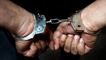 دستگیری عامل انتشار کلیپ جعلی مبنی بر هجوم مردم به یک مرغداری در نیکشهر