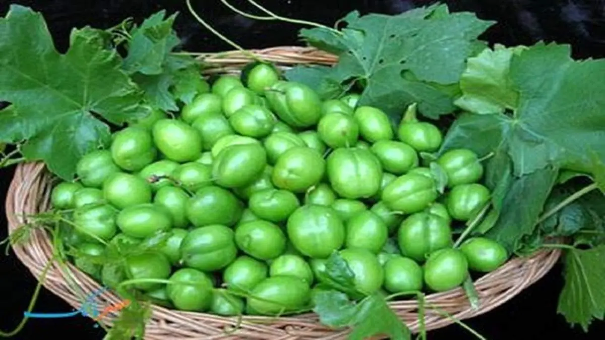 چرا نباید هسته میوه ها را بخوریم؟