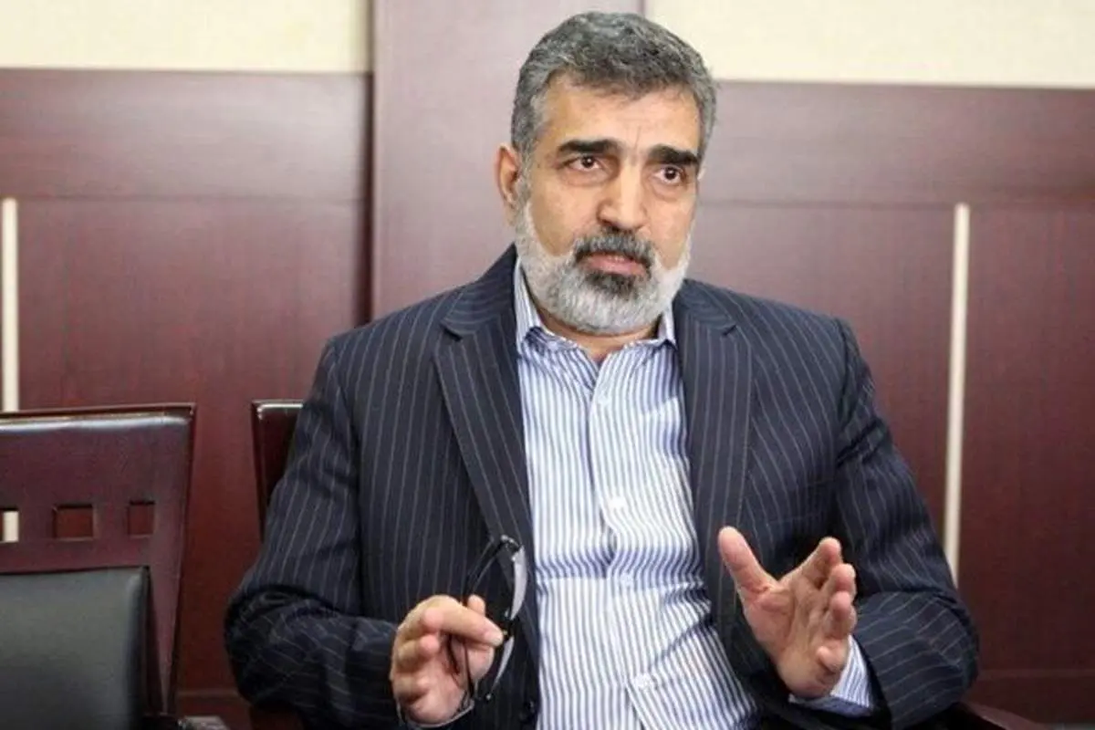 کمالوندی: ذخایر اورانیوم ۲۰ درصد ایران به ۵۵ کیلوگرم رسید