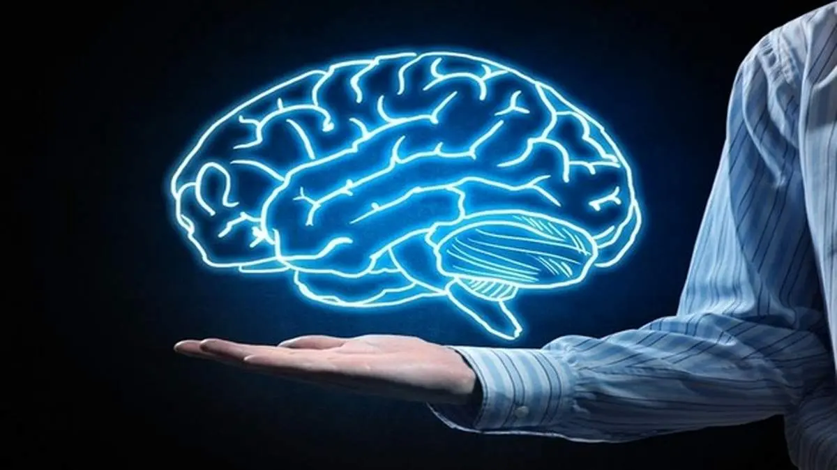 مغز ما چگونه زیبایی را درک میکند؟