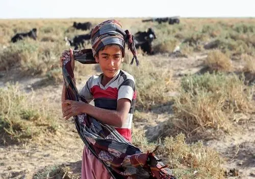 تصاویری دیدنی از پرآب شدن دریاچه هامون پس از ۱۲ سال + فیلم