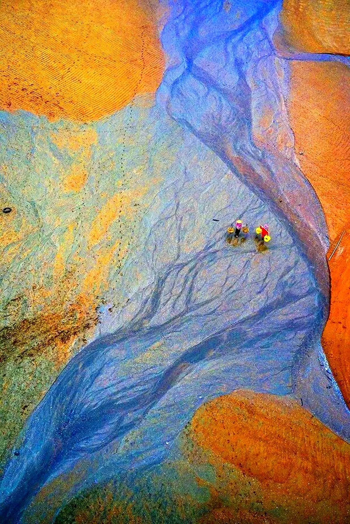 نقاشی طبیعت + عکس