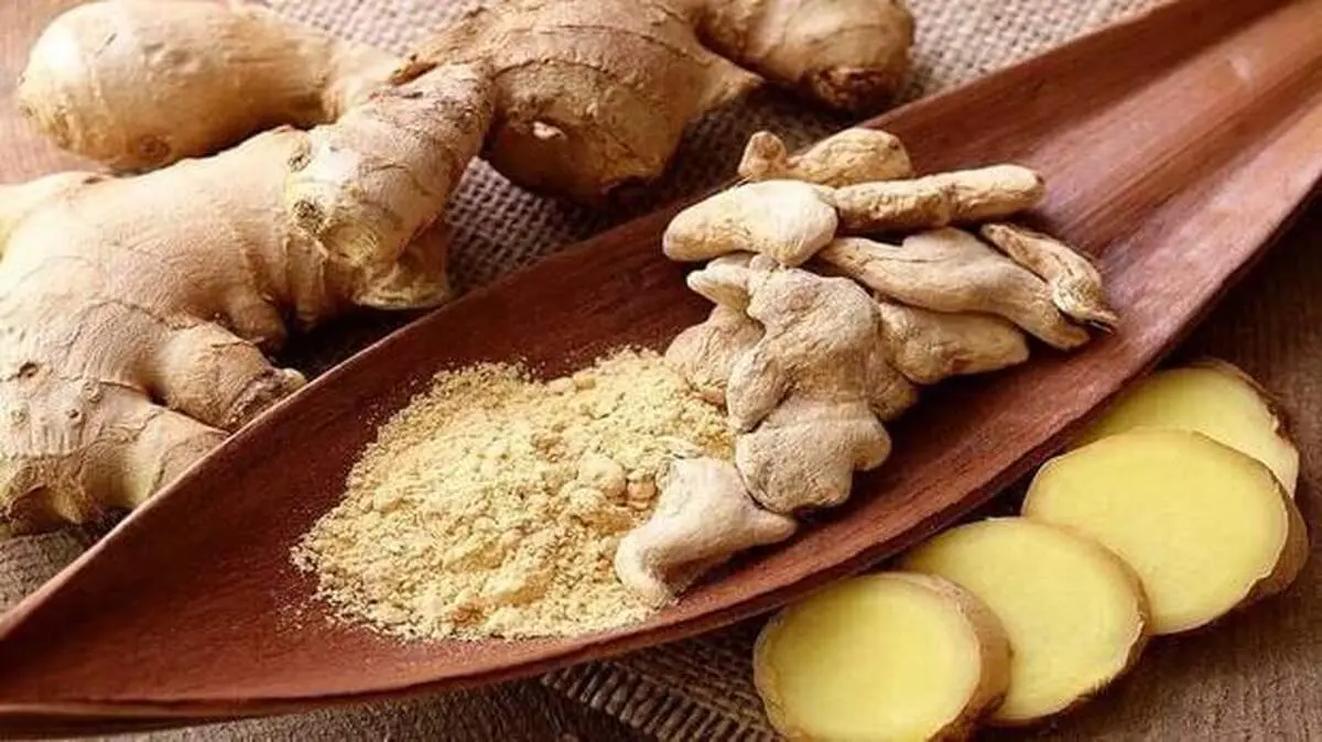 ۵ گیاه شگفت انگیز برای مبارزه با سرطان