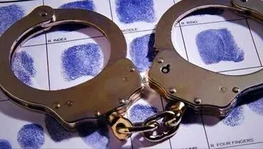 بازداشت برگزارکنندگان مراسم عروسی در دنا