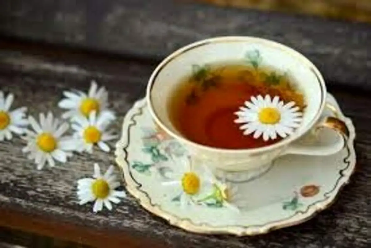 بابونه؛ دمنوشی که به رفع عطش کمک میکند